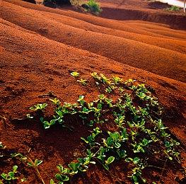 骑士就是要拯救公主们！动作Roguelike游戏《塔楼公主》9月9日即将上线！